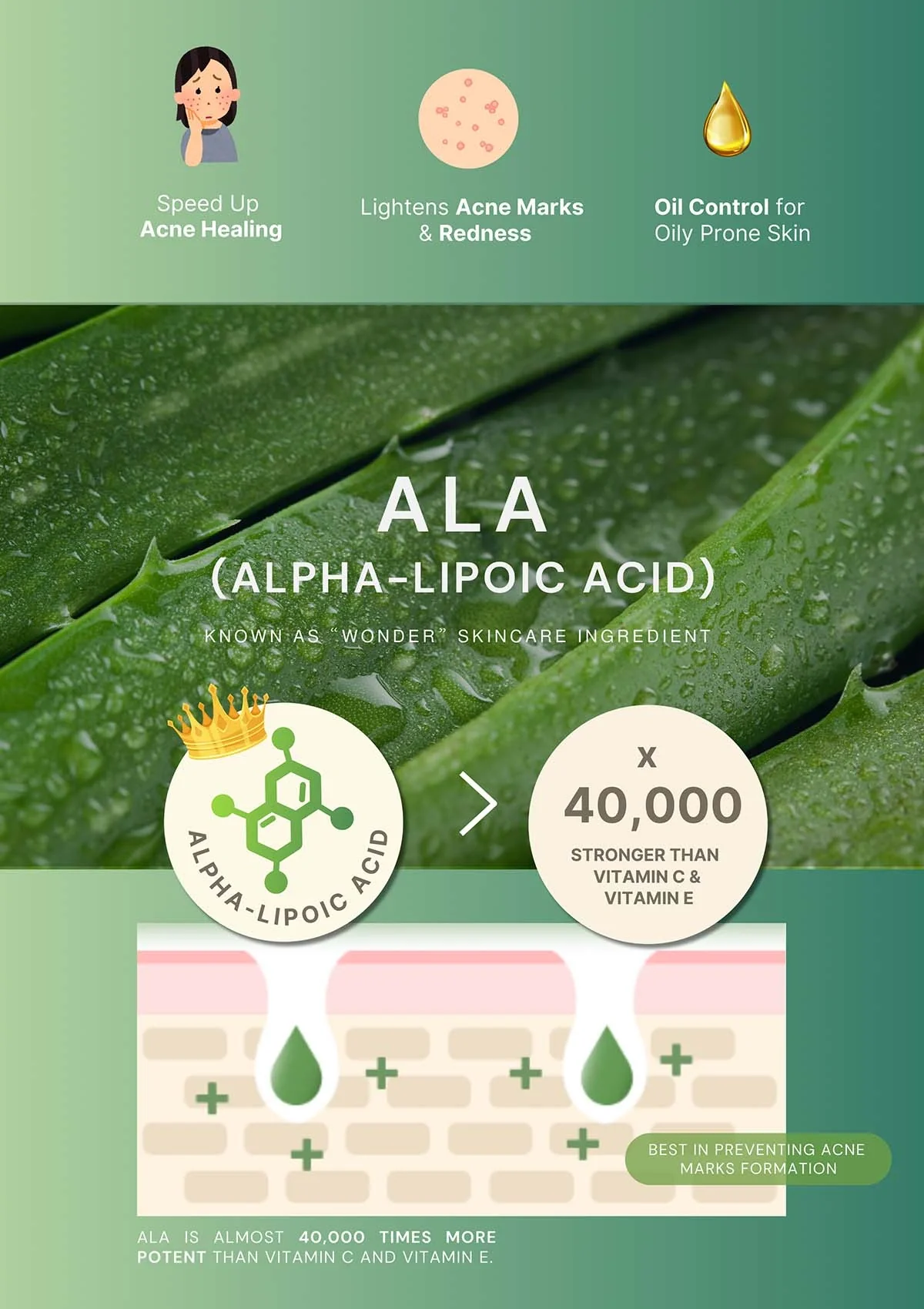 [BE'BALANCE] Acala Microfiber Mask (1 Box = 30g x 10 Masks) - Image 6