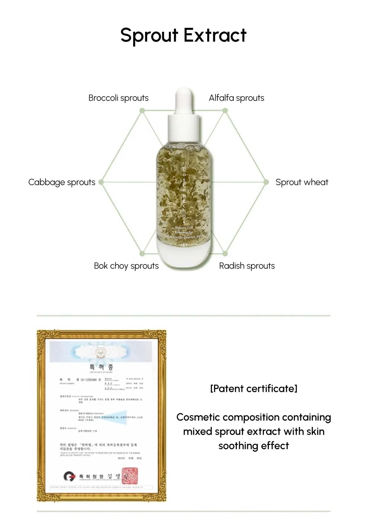 [BLANC DUBU] Nuborn Cell Eoseongcho Green Energy Essence Toner 50g - Image 9