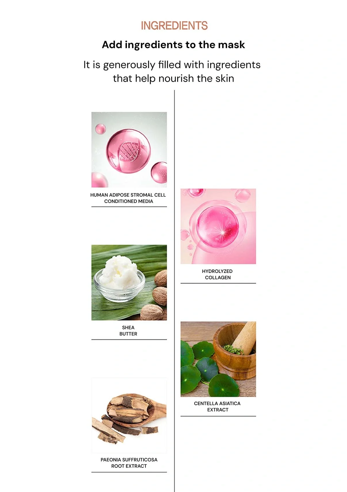 [BLANC DUBU] Nuborn Cell Hydrogel Collagen Neck Mask (1 Box = 5 Masks x 14g) - Image 10