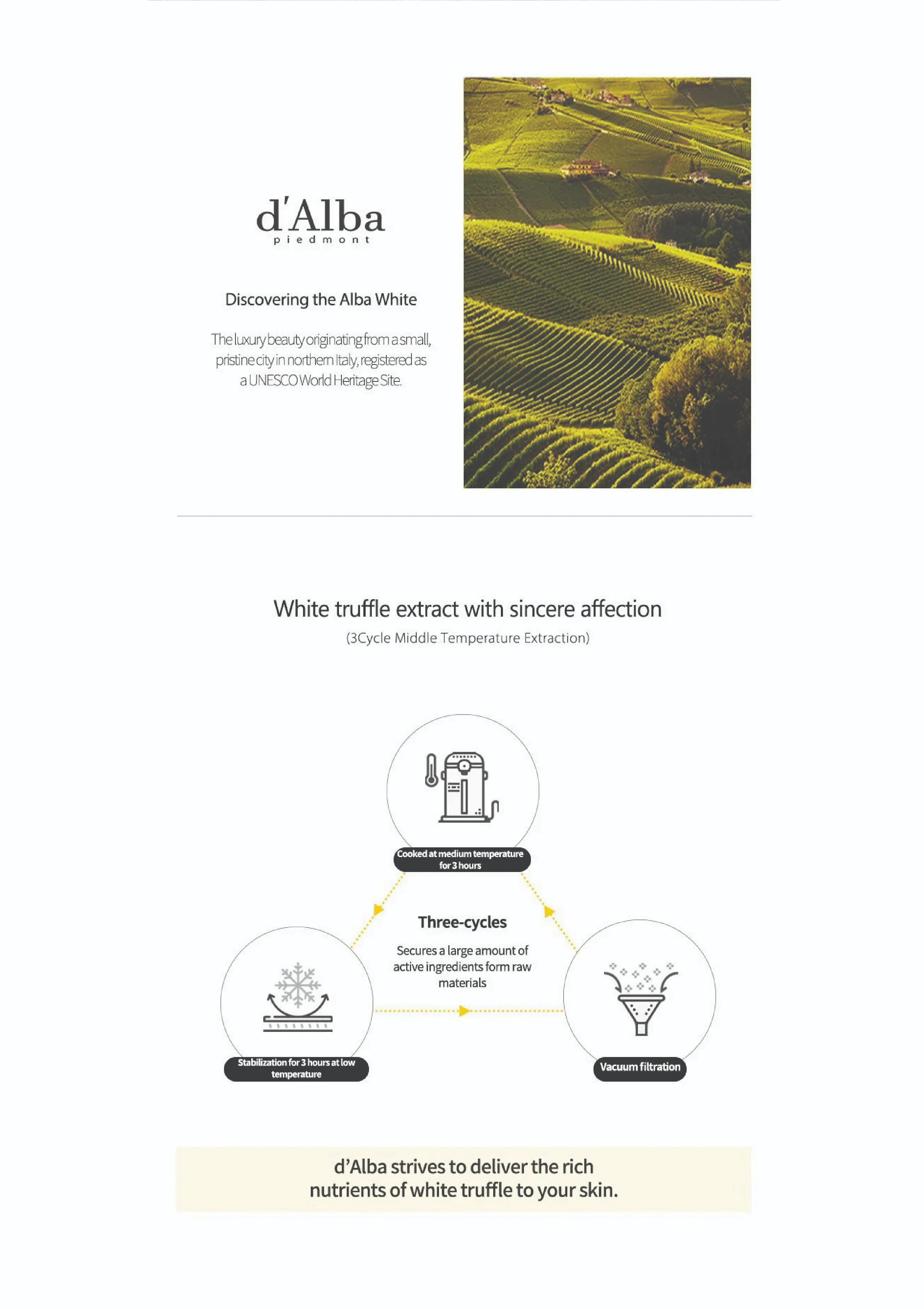 [D'ALBA] White Truffle First Spray Serum 50ml | 100ml - Image 11
