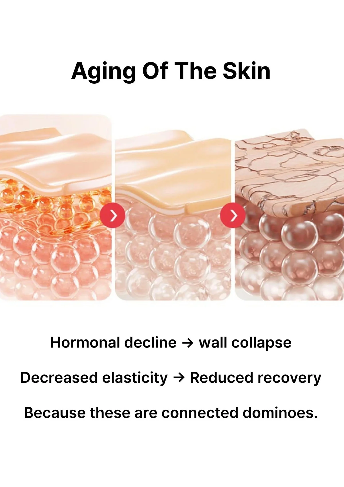 [EVERY ROUTINE] Estro Ampoule 30ml - Image 16
