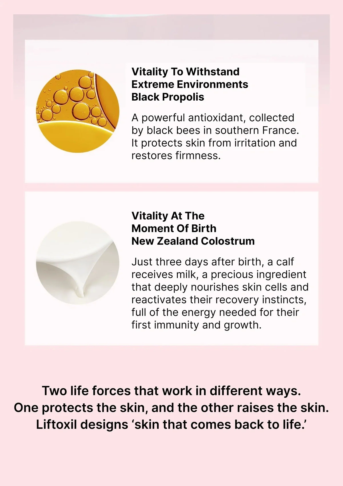 [EVERY ROUTINE] Liftox-seal Gold Ampoule 35g - Image 13