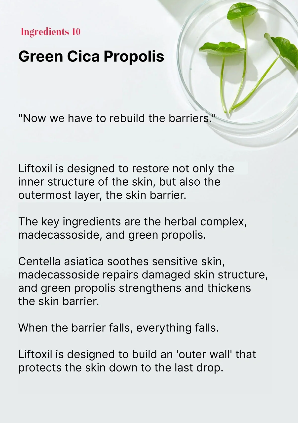 [EVERY ROUTINE] Liftox-seal Gold Ampoule 35g - Image 19