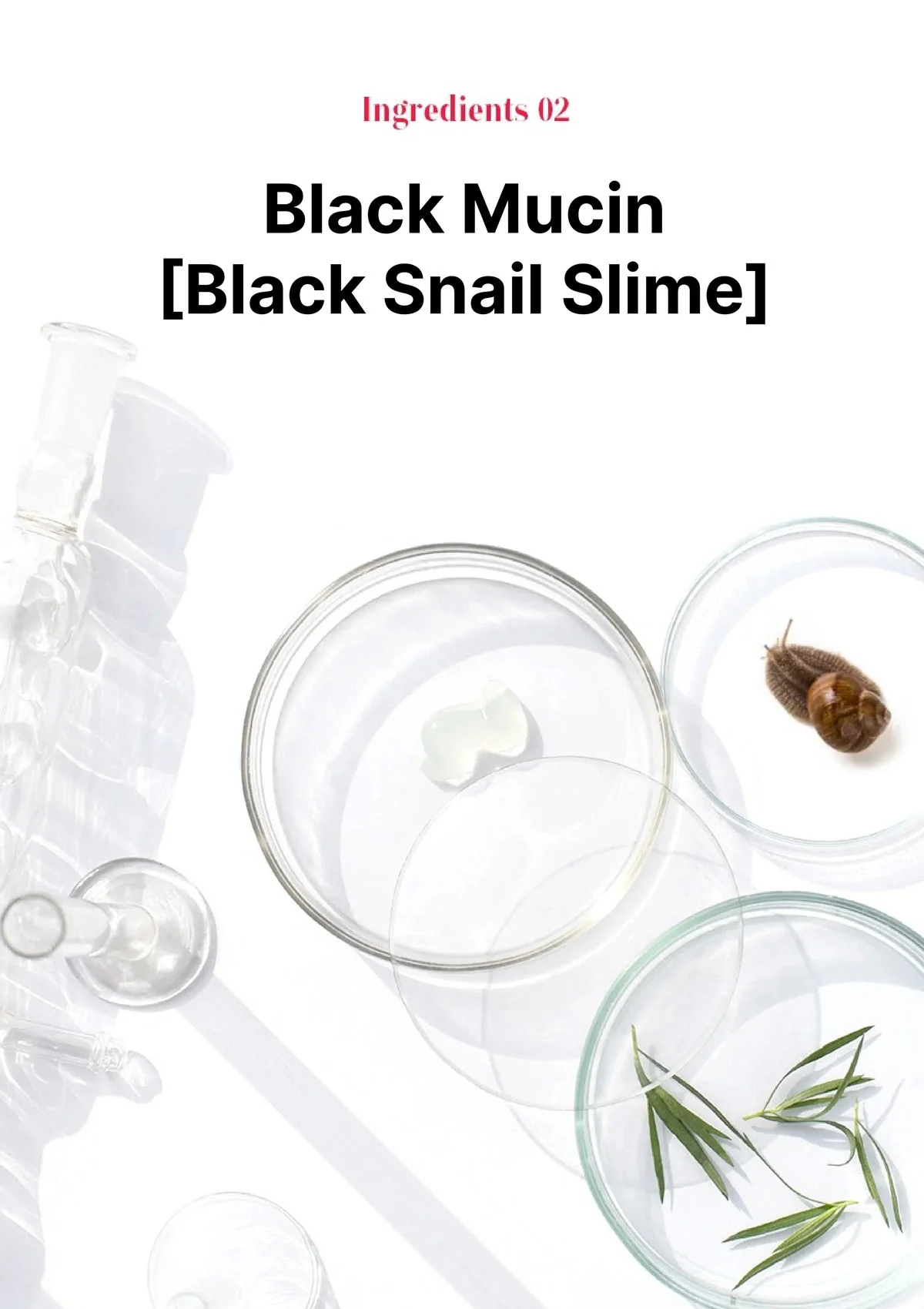 [EVERY ROUTINE] Liftox-seal Gold Ampoule 35g - Image 9