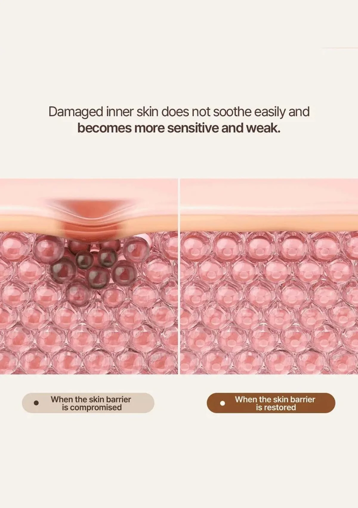 [HEVEBLUE] Salmon Caring Newpair PDRN Booster 100,000 Shot Essence - Image 4