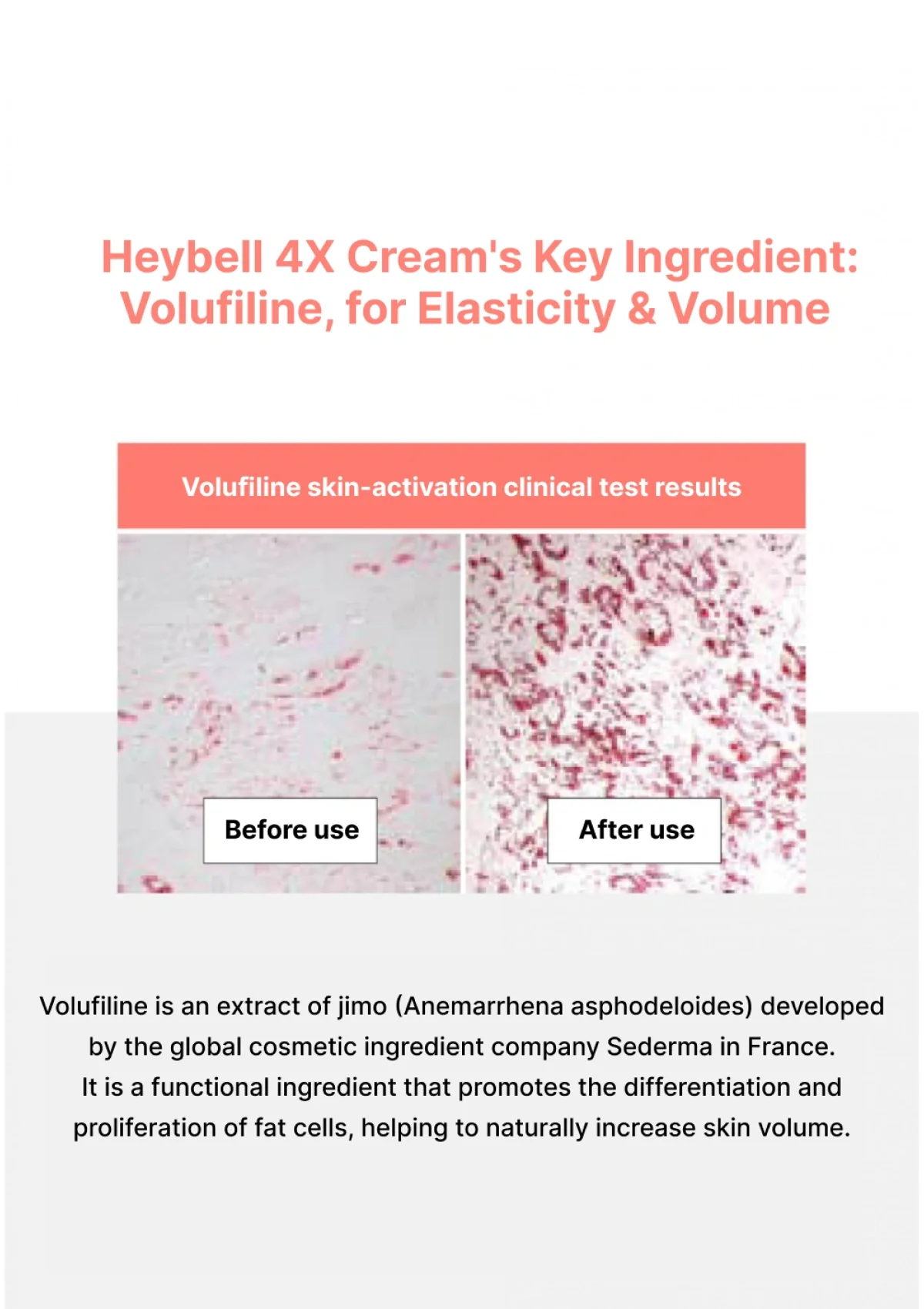 [HEYBELL] Cur.B 4X Breast Cream 100ml - Image 32