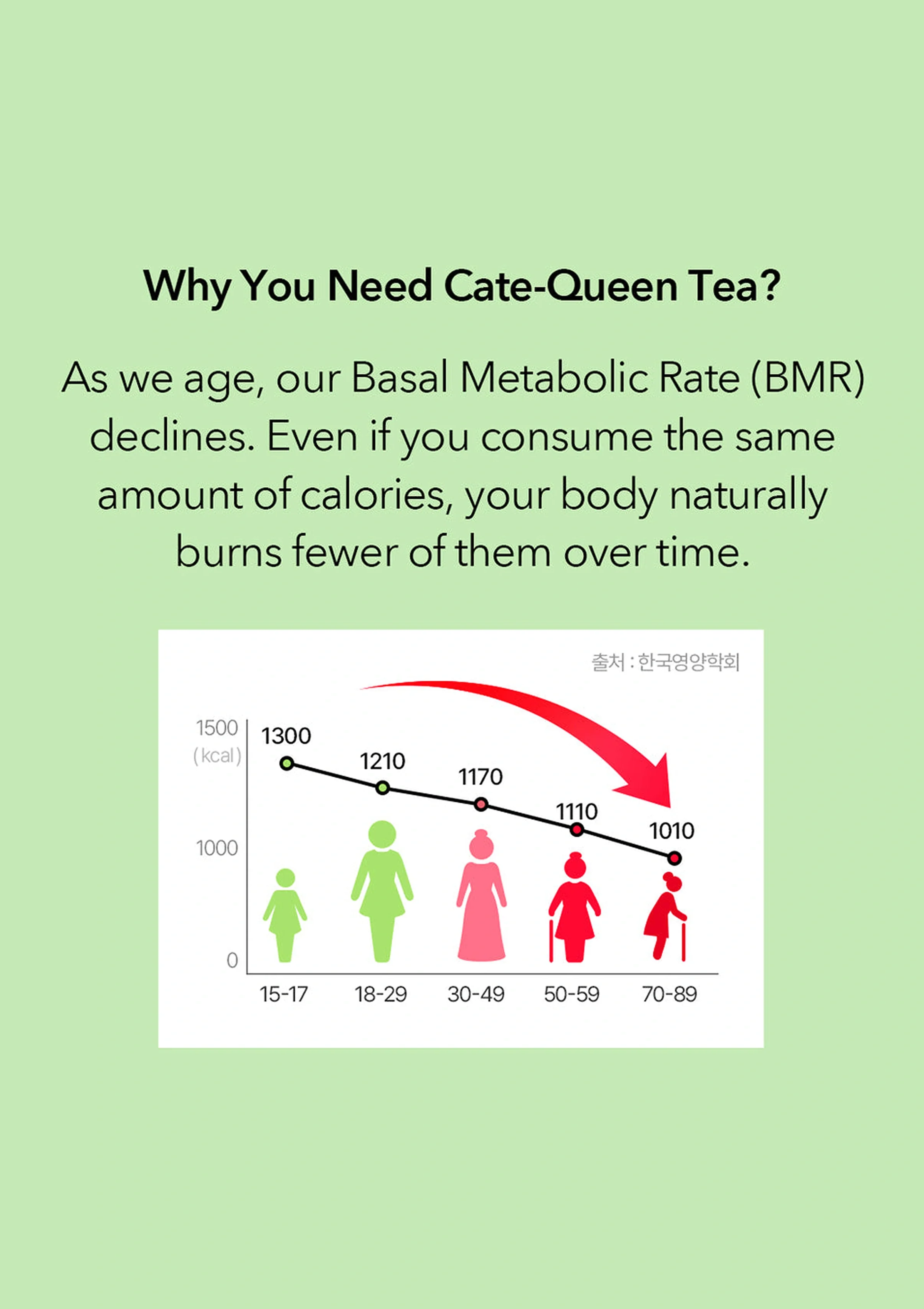 [ODADA] Cate Queen Tea (1 Pack = 1.5g x 24 Tea Bags) - Image 8