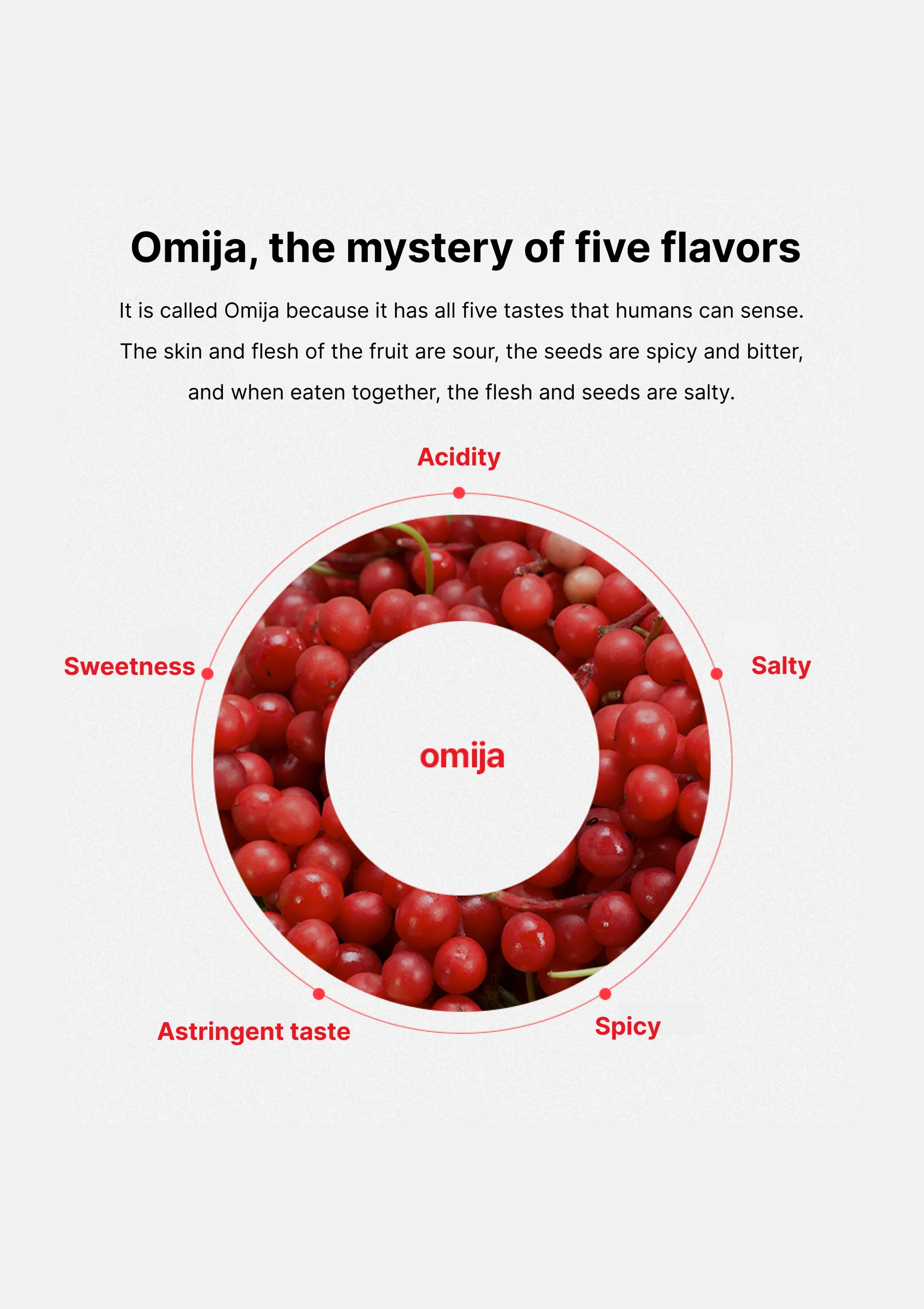 [ODADA] Inner Care Tea Collection (In 7 Types | 24 Tea Bags Each) - Image 72