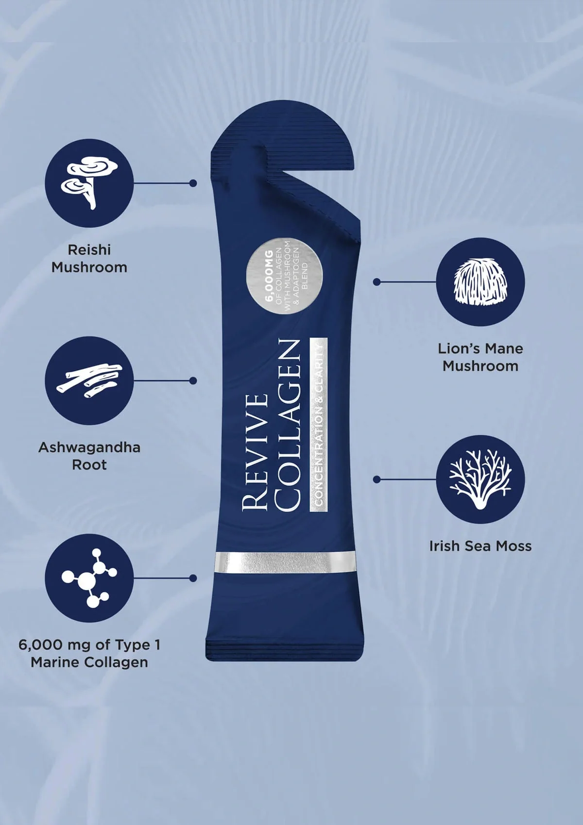 Revive Collagen Concentration & Clarity - 6000mg Type I Hydrolysed Marine Collagen Drink - Image 4