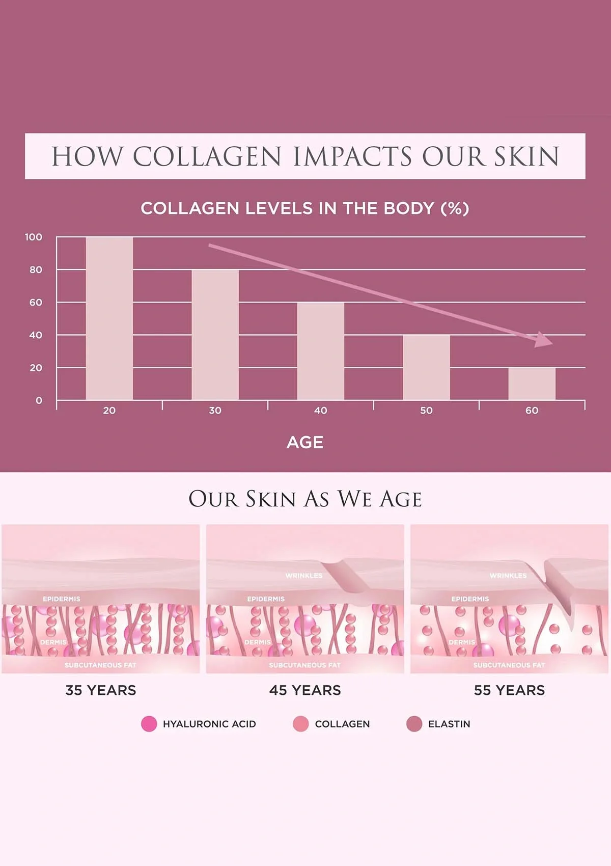 Revive Collagen Enhanced Plus - 10000mg Type I Hydrolysed Marine Collagen Drink - Image 5