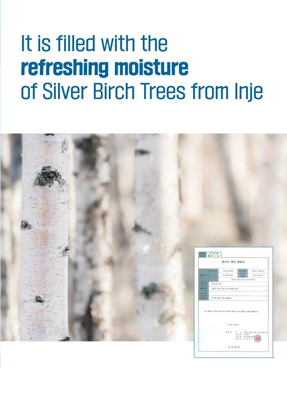 [ROUND LAB] Birch Juice Moisturizing Toner 300ml - Image 7