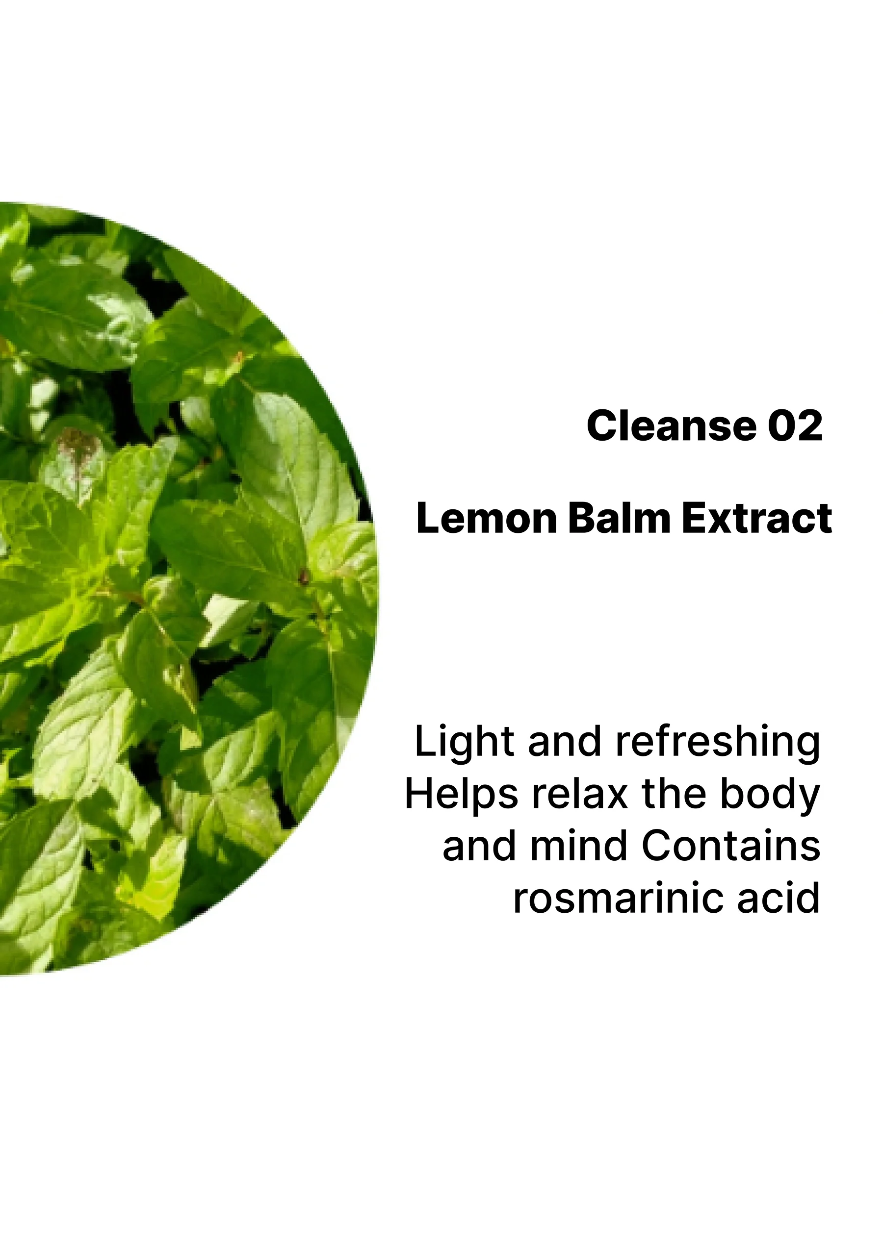[SHAKE BABY] BBelly Cleanse Apple Cider Vinegar (1 Box = 15g x 10 Sticks) - Image 23
